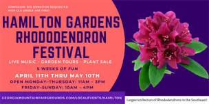 Purple rhododendron flower on a festival poster for the Hamilton Gardens Rhododendron Festival with event dates and times listed.