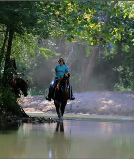 Two people ride horses through a shallow stream in a lush, green forest with sunlight filtering through the trees.